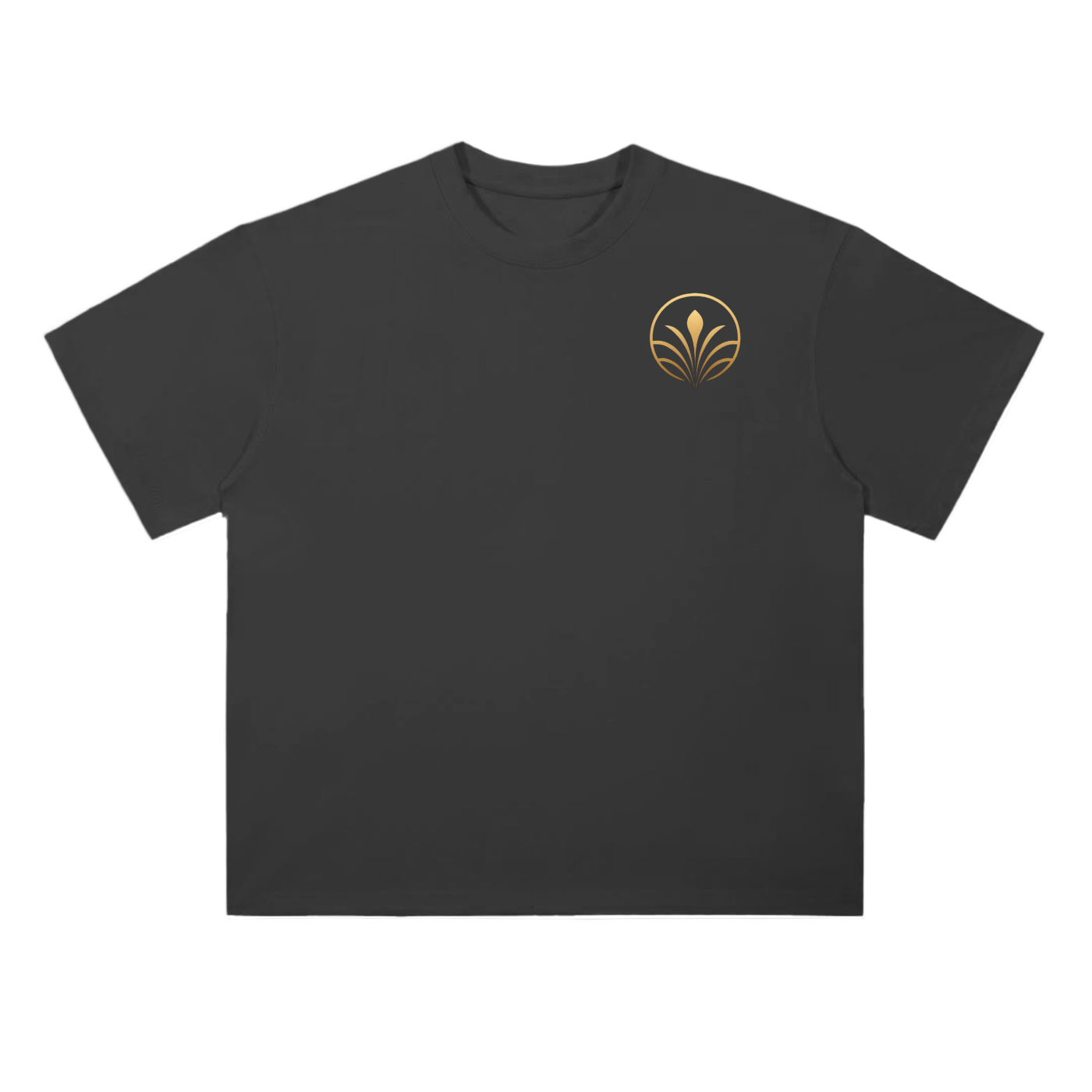 Philippians 4:13 Shirt